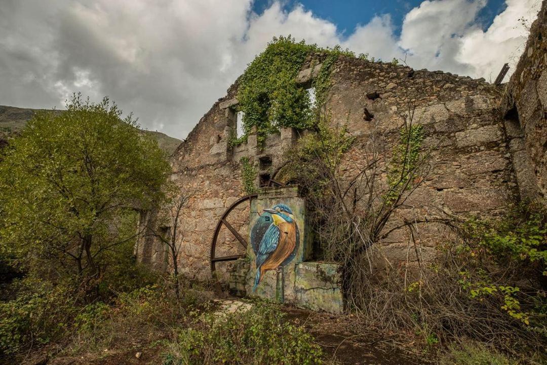 Apartamento Quinta Do Pina Guarda Exterior foto